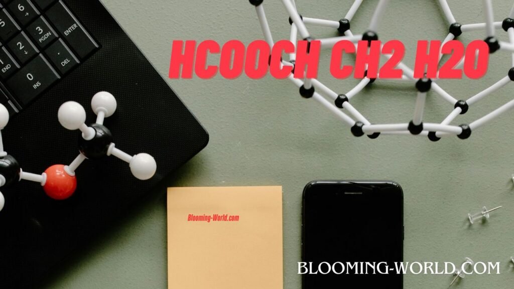 Why HCOOCH CH2 H2O is a Top Game-Changer in Everyday Life