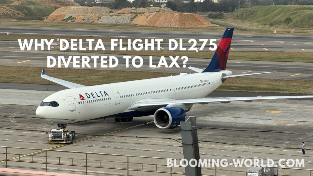 Delta Flight DL275 Diverted LAX